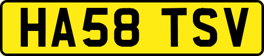 HA58TSV