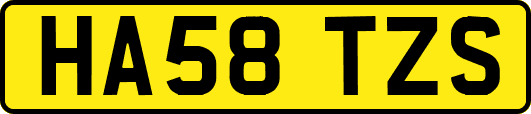 HA58TZS