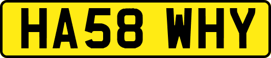 HA58WHY