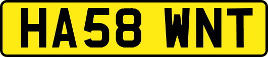 HA58WNT