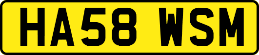 HA58WSM