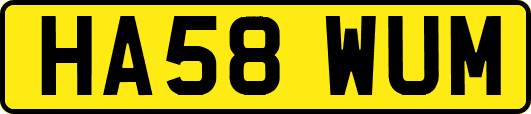 HA58WUM
