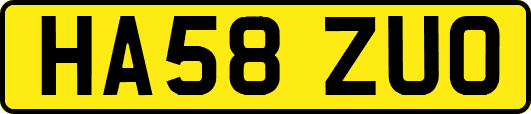 HA58ZUO