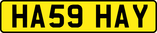 HA59HAY