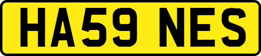 HA59NES