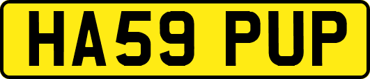 HA59PUP