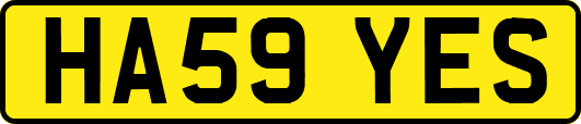 HA59YES
