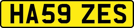 HA59ZES
