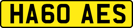HA60AES