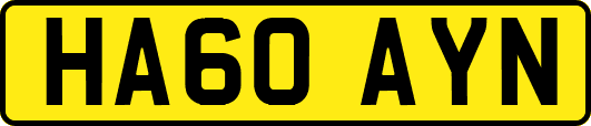 HA60AYN