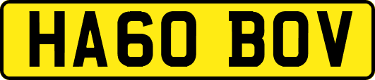 HA60BOV