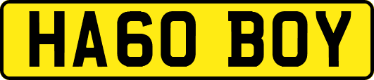 HA60BOY
