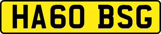 HA60BSG