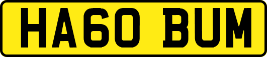 HA60BUM