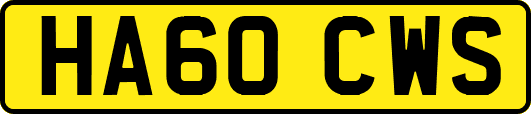 HA60CWS