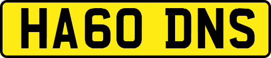HA60DNS