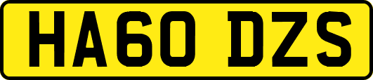 HA60DZS