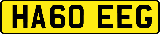 HA60EEG