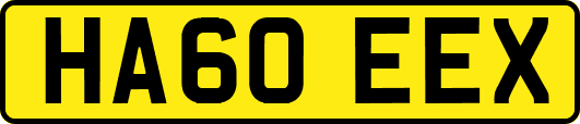 HA60EEX