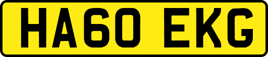 HA60EKG