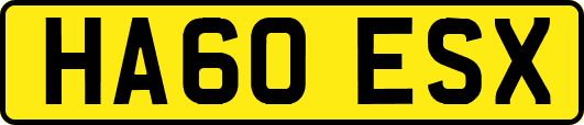 HA60ESX