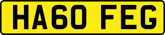 HA60FEG