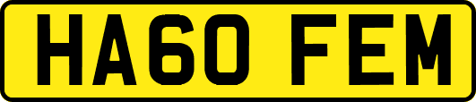 HA60FEM
