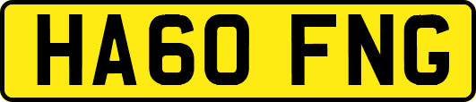 HA60FNG