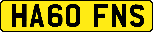 HA60FNS