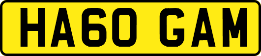 HA60GAM