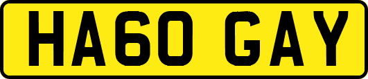 HA60GAY