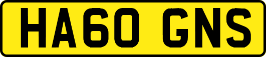 HA60GNS