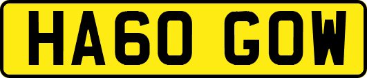 HA60GOW