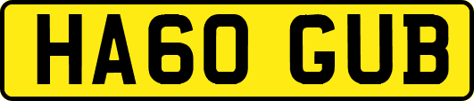 HA60GUB
