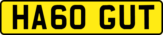 HA60GUT