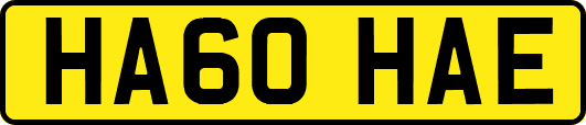 HA60HAE