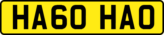 HA60HAO