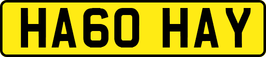 HA60HAY