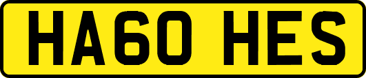HA60HES