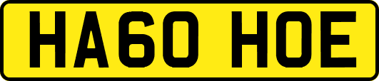 HA60HOE