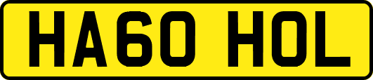 HA60HOL