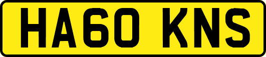 HA60KNS
