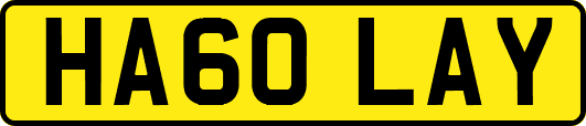 HA60LAY