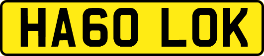 HA60LOK