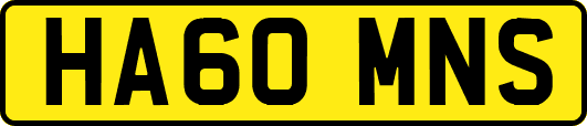 HA60MNS