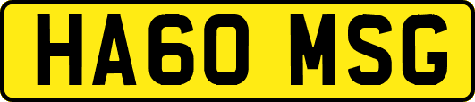 HA60MSG