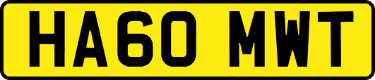 HA60MWT