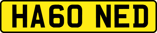HA60NED