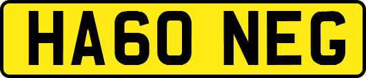 HA60NEG