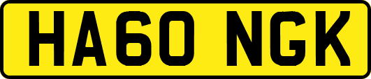 HA60NGK